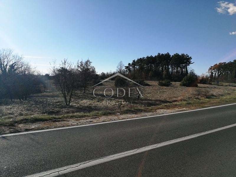 Žminj - prodaja kmetijskega zemljišča, 46.000 m2