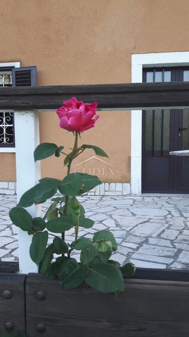 Hiša Bribir, Vinodolska Općina, 330m2