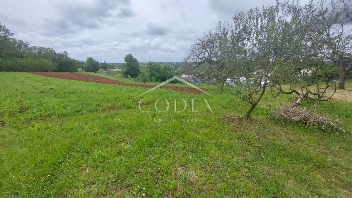 Pazin - gradbišče s pogledom na okolico