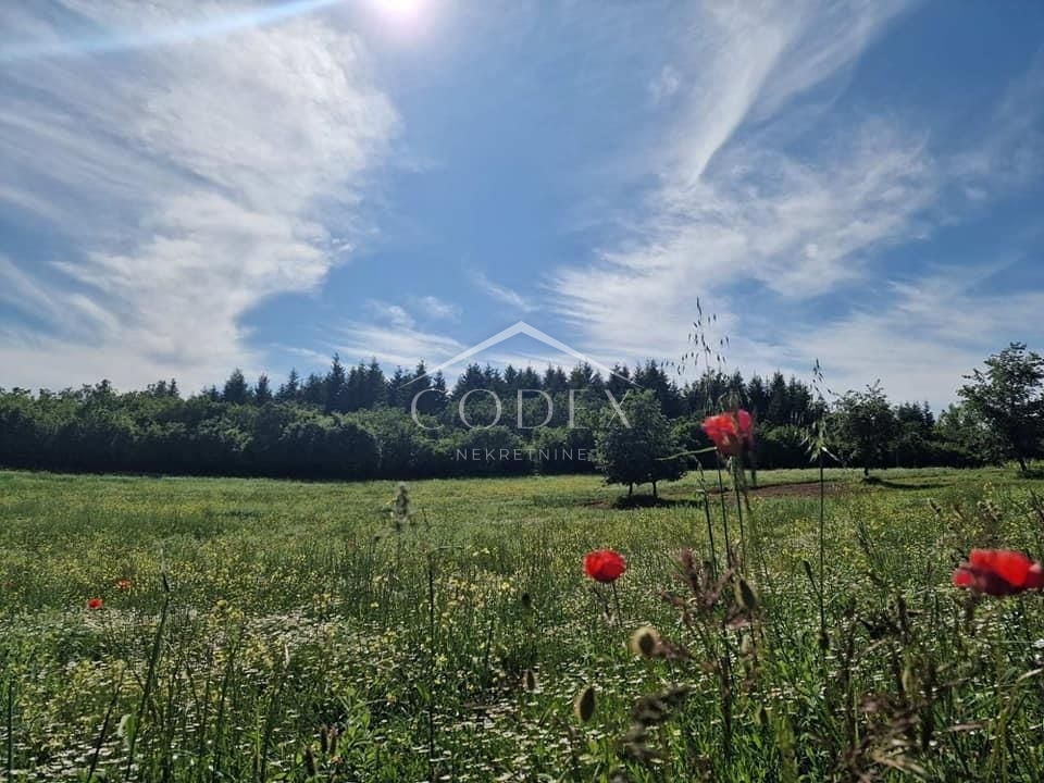 Vižinada - prodaja kmetijskega zemljišča