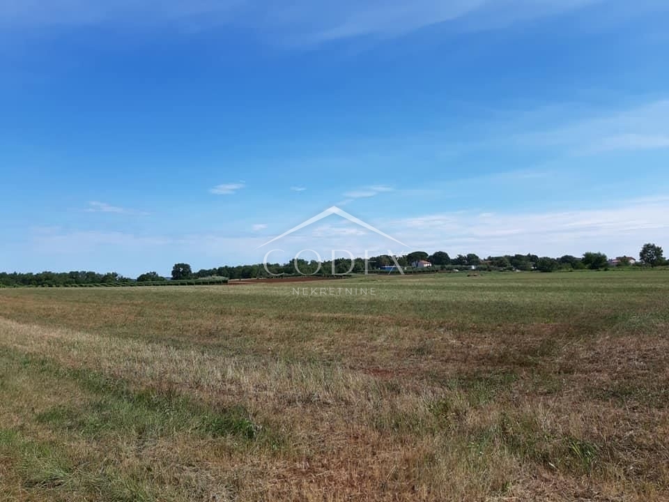 Vižinada - prodaja kmetijskega zemljišča