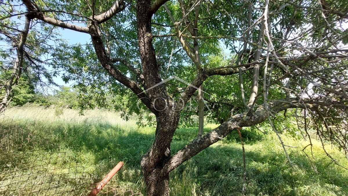 Kaštelir - prodaja gradbenega zemljišča s pogledom na morje!