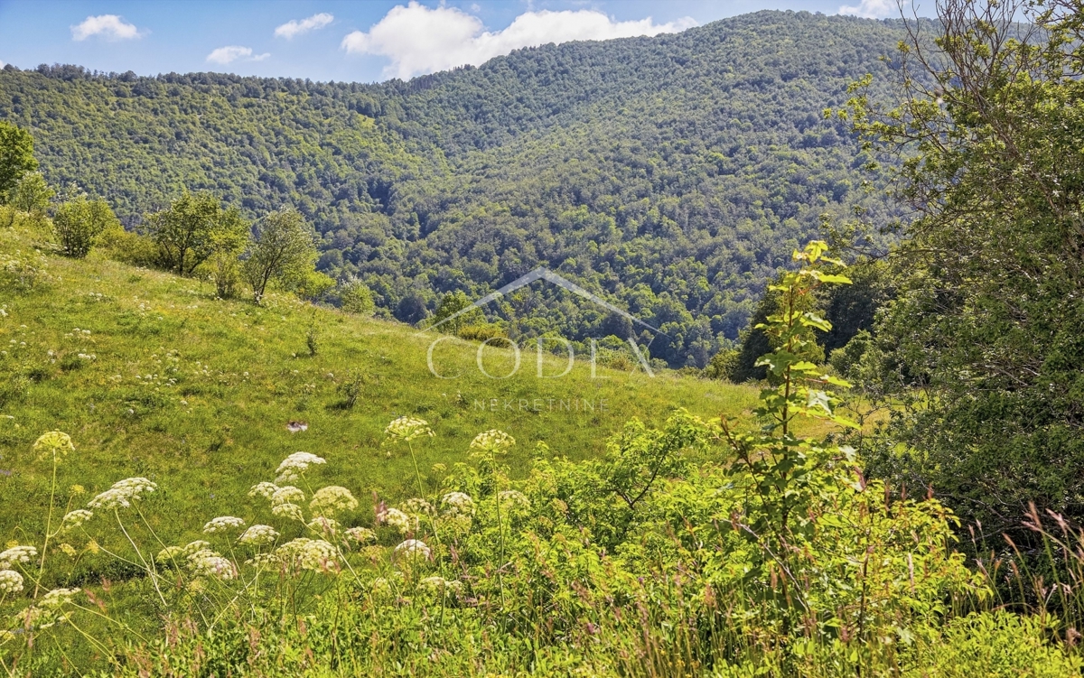 Veprinac, Falalelići - prodaja kmetijskega zemljišča