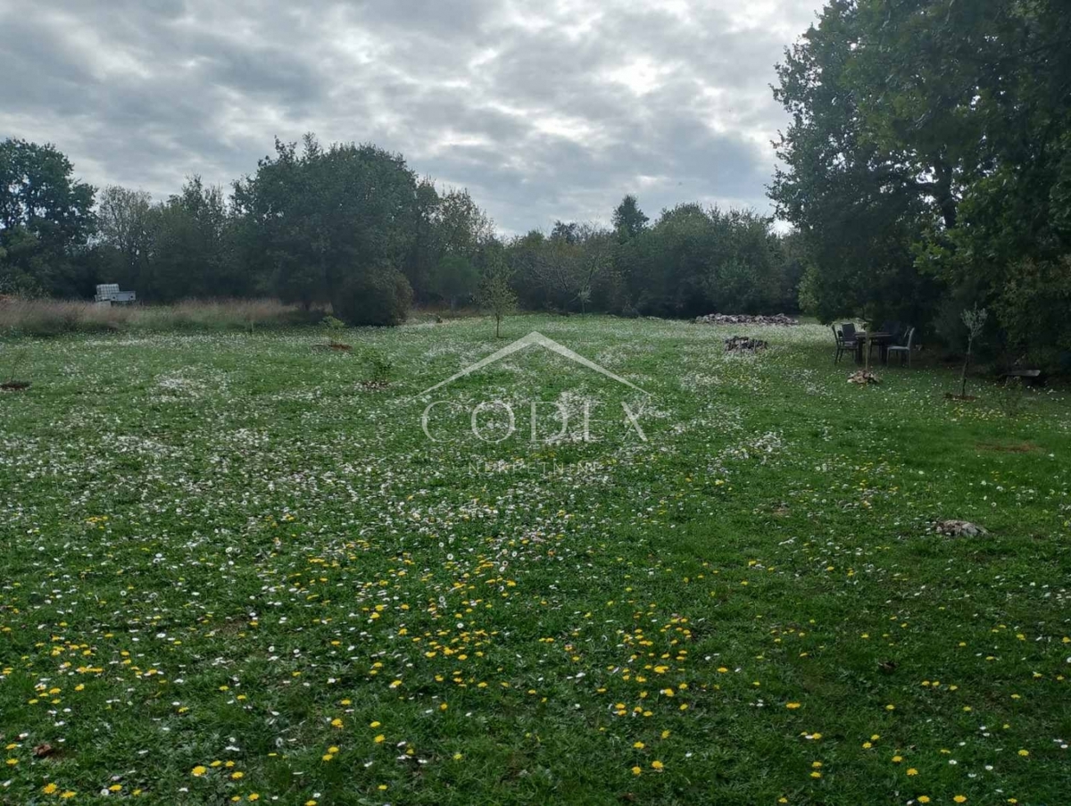 Rovinj - prodaja kmetijskega zemljišča