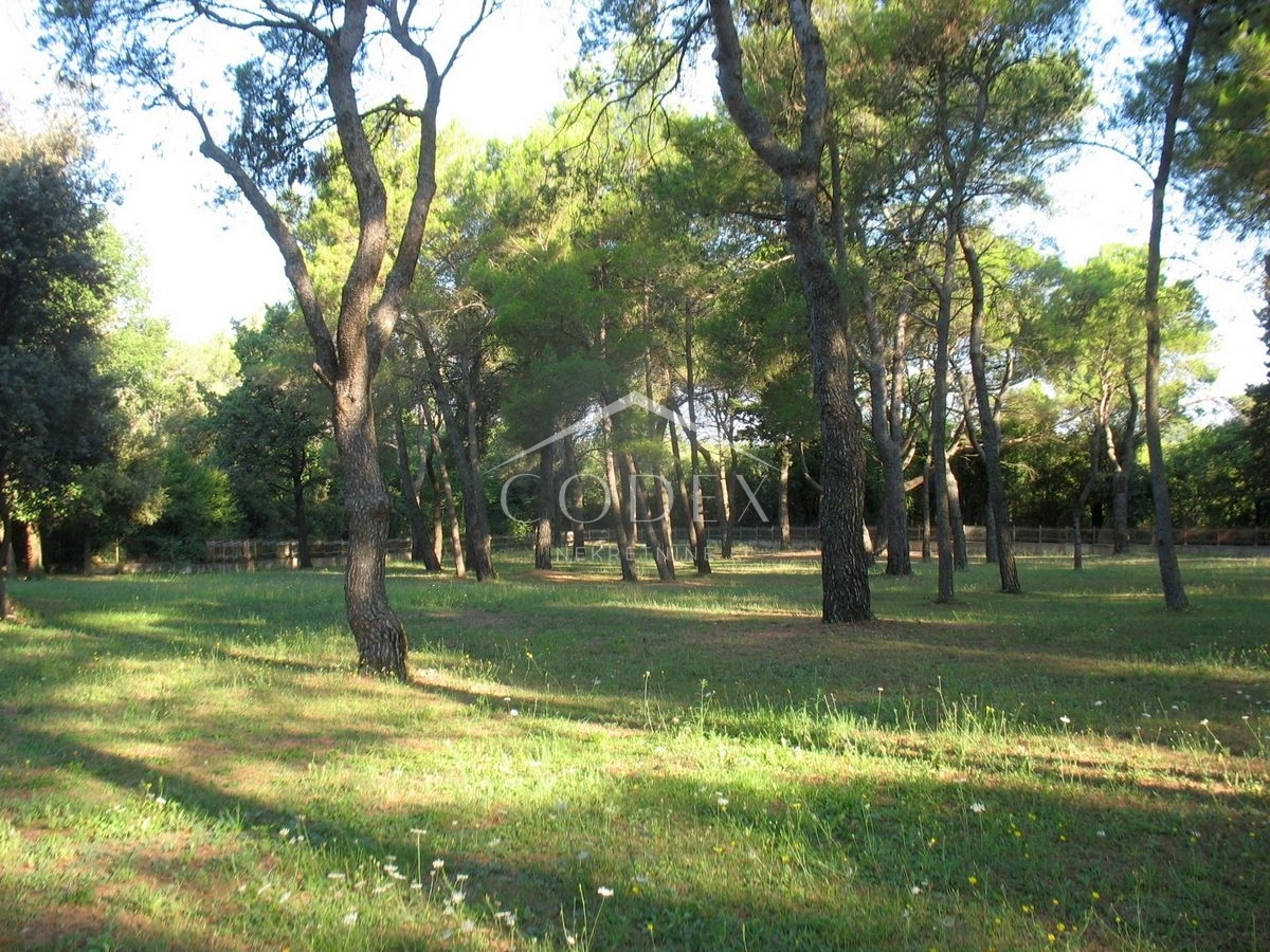 Rovinj - prodaja gradbenega zemljišča ob morju