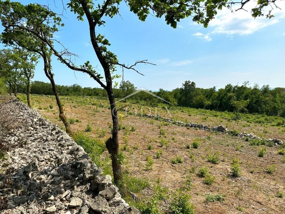 Labin - prodaja gradbenega zemljišča s pogledom na morje