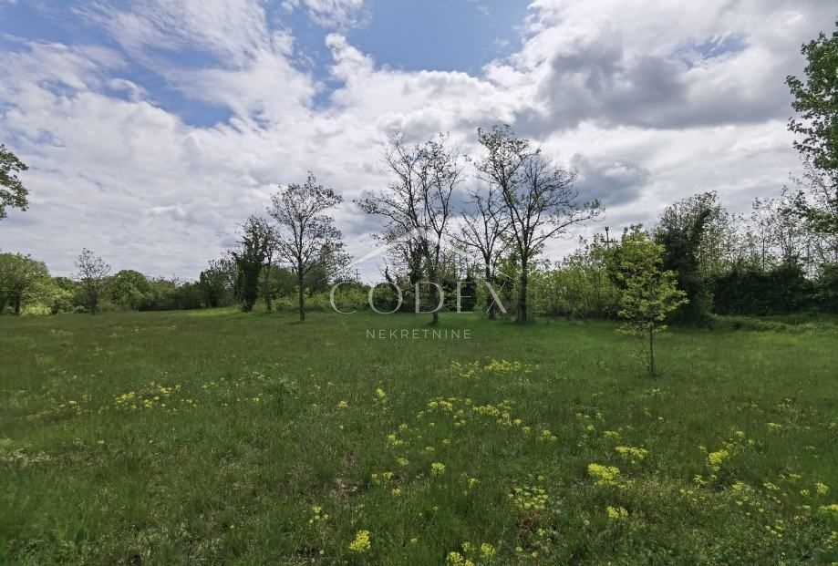 Višnjan - prodaja gradbenega zemljišča za investitorje!