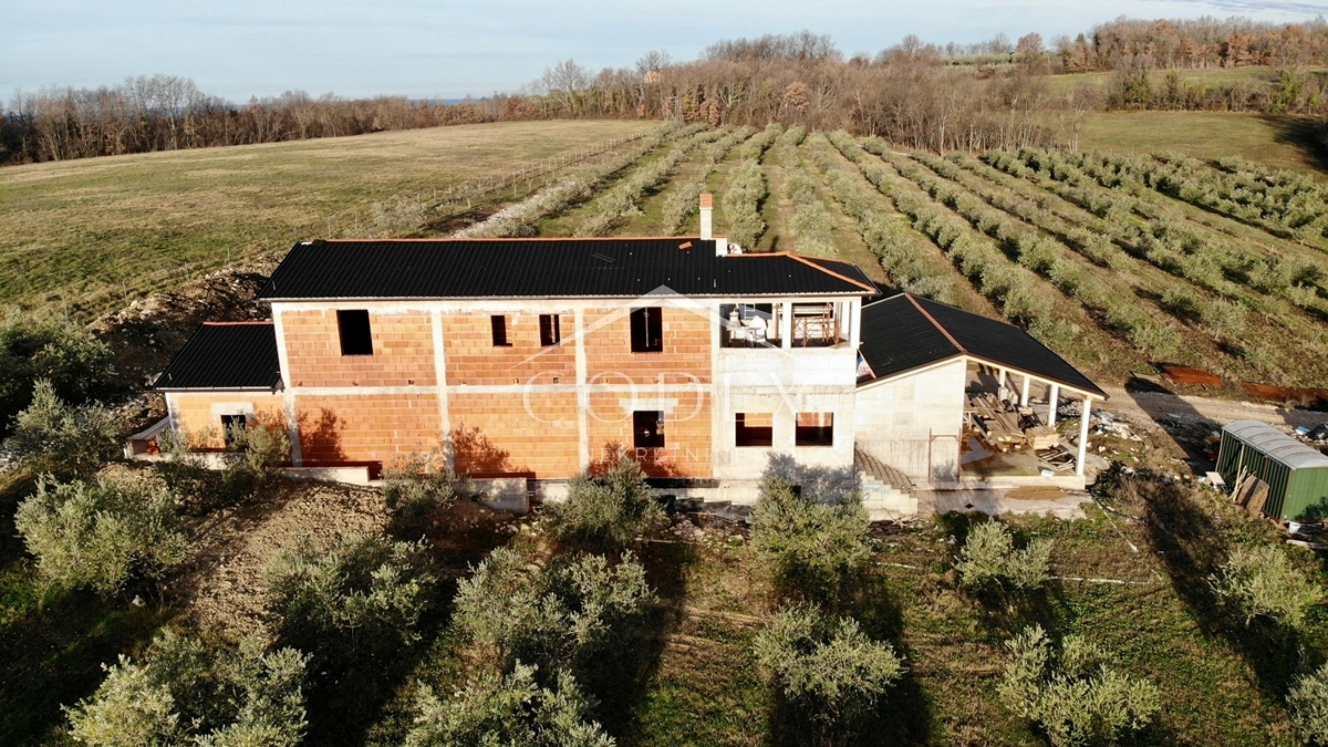 Buje - oljčnik z objektom 300 m2