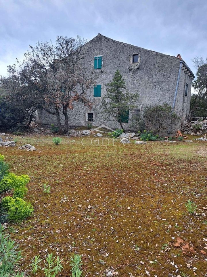 Punta Križa - prodaja kmetijskega zemljišča