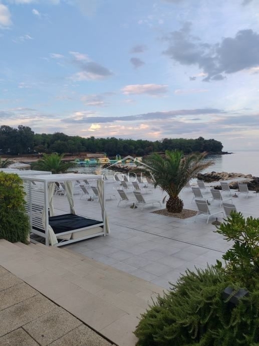 Novigrad - prostorno stanovanje z vrtom v mirnem delu Marede