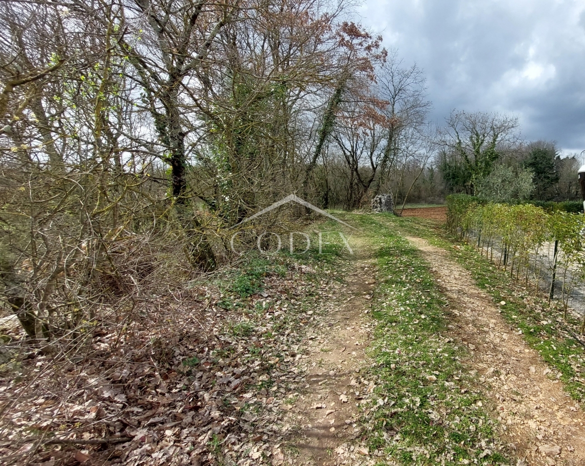 Kringa - prodaja gradbenega zemljišča za gradnjo hiše