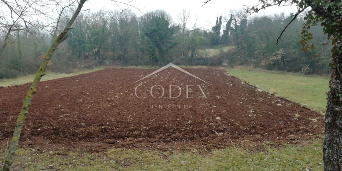 Kringa - prodaja gradbenega zemljišča za gradnjo hiše