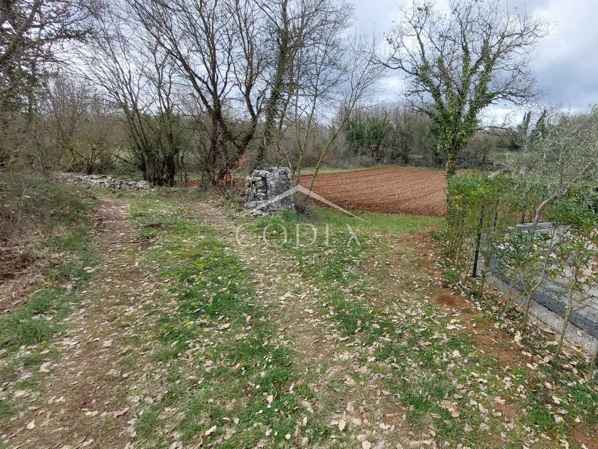 Kringa - prodaja gradbenega zemljišča za gradnjo hiše