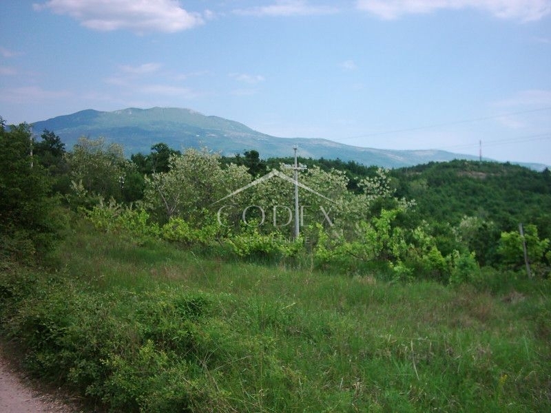 Zemljišče Lupoglav, 83.000m2