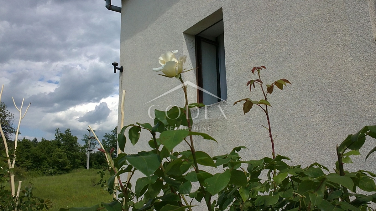 Zemljišče Lupoglav, 83.000m2