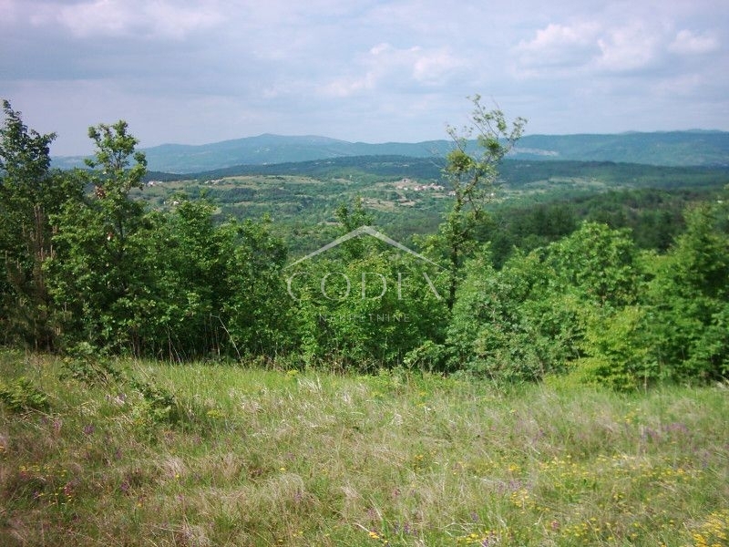 Zemljišče Lupoglav, 83.000m2