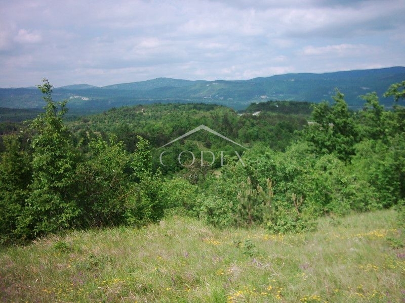 Zemljišče Lupoglav, 83.000m2