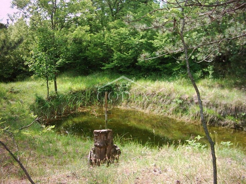 Zemljišče Lupoglav, 83.000m2
