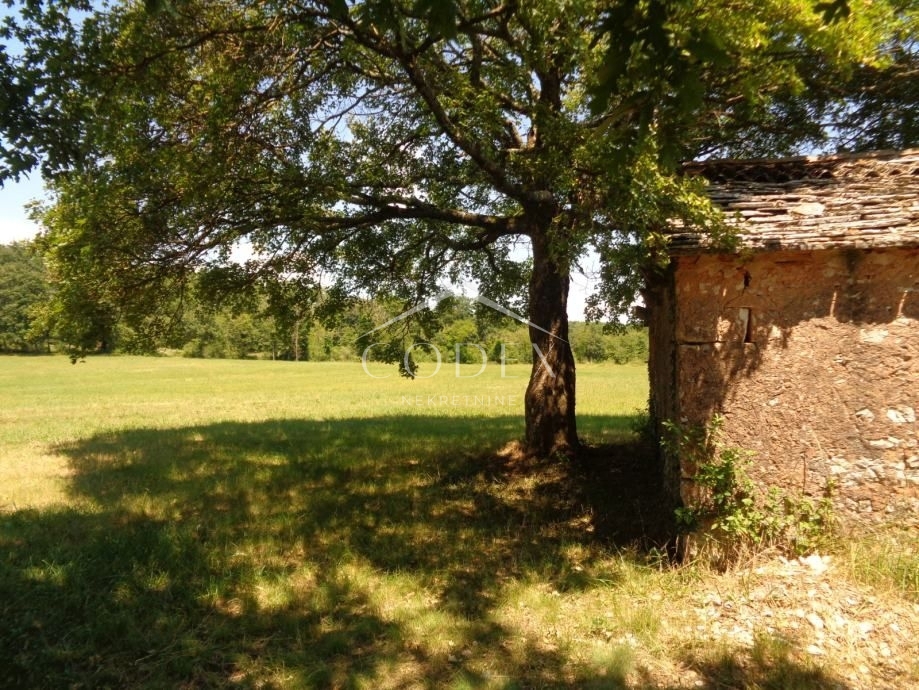 Žminj - gradbišče za gradnjo vil