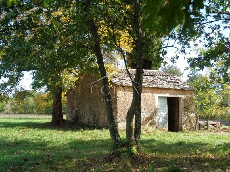 Žminj - gradbišče za gradnjo vil