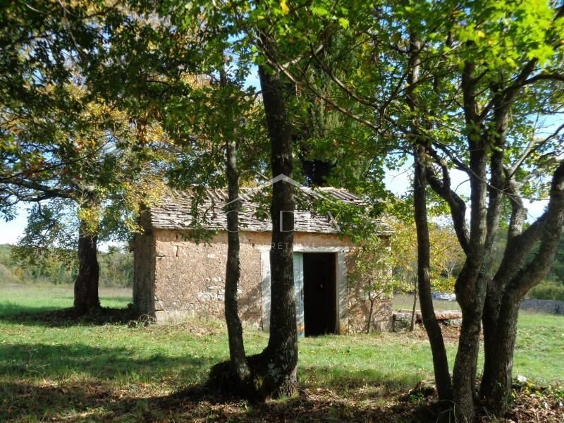 Žminj - gradbišče za gradnjo vil