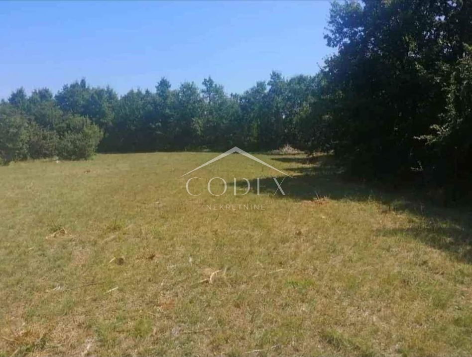 Vodnjan - prodaja kmetijskega zemljišča