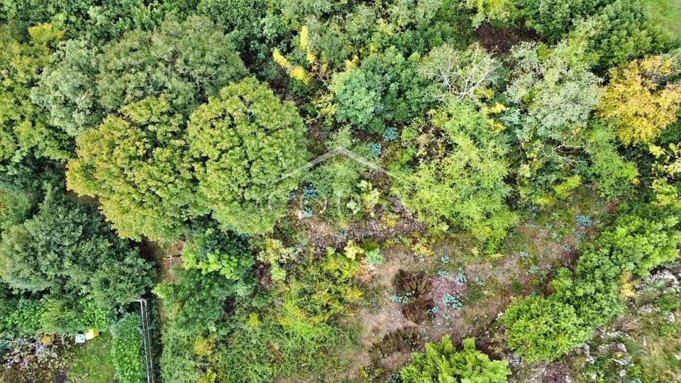 Bivio, Costabella - prodaja gradbenega zemljišča, 300 metrov od morja