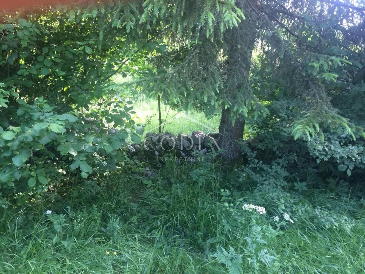 Delnice, Lučice - prodaja gradbenega zemljišča na mirni lokaciji