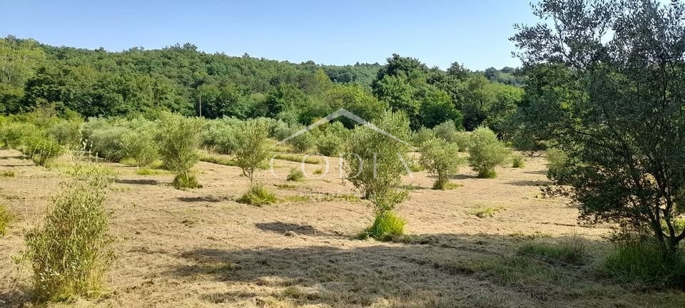 Labin - prodaja nepremičnine na samem s samostojno kamnito dediščino