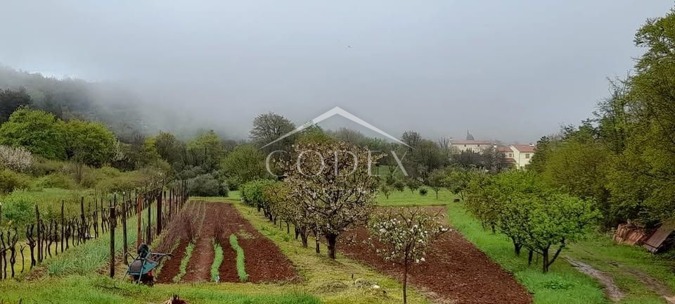 Labin - prodaja nepremičnine na samem s samostojno kamnito dediščino