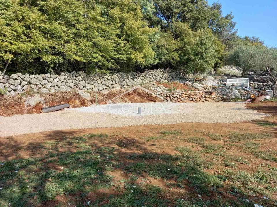 Krk - Oljčni nasad in gozd