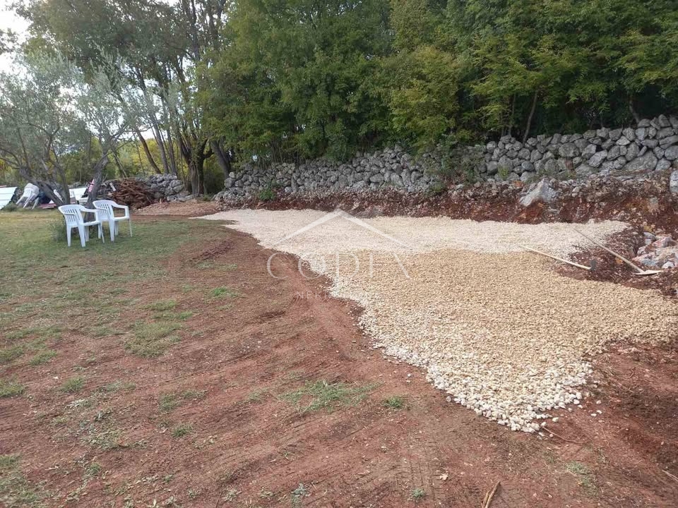 Krk - Oljčni nasad in gozd