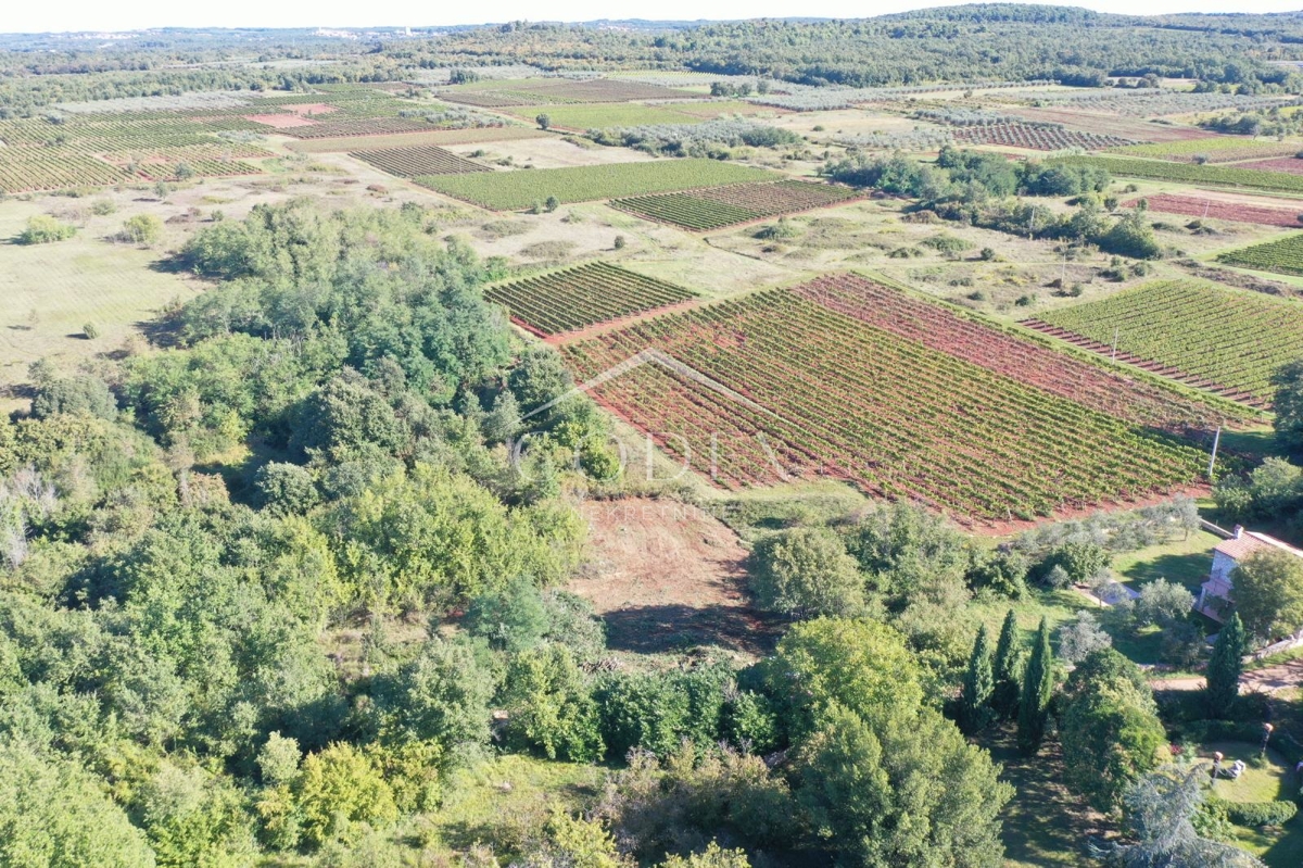 Višnjan – prodaja zazidljivega zemljišča blizu Poreča