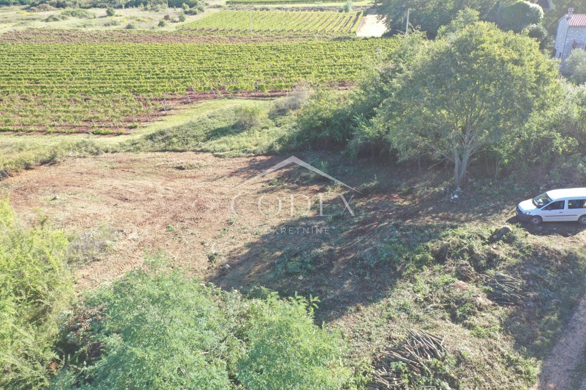 Višnjan – prodaja zazidljivega zemljišča blizu Poreča