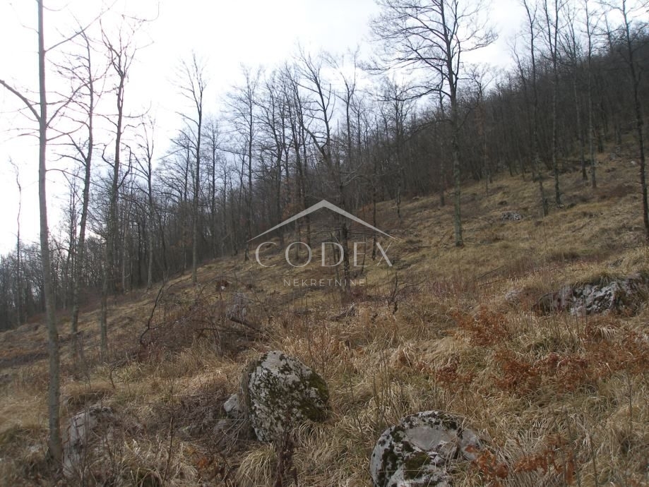 Veprinac - prodaja zemljišča T2