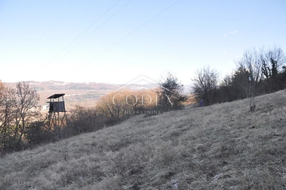 Buzet - zemljišče s starinami 82500 m2