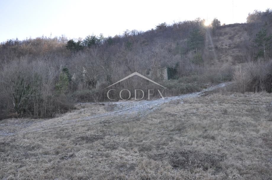 Buzet - zemljišče s starinami 82500 m2