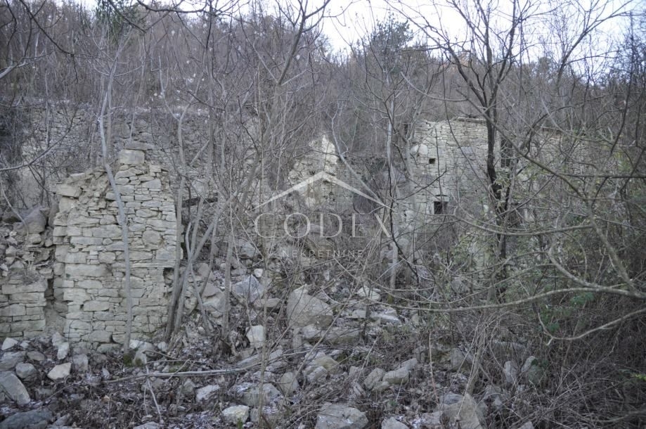 Buzet - zemljišče s starinami 82500 m2
