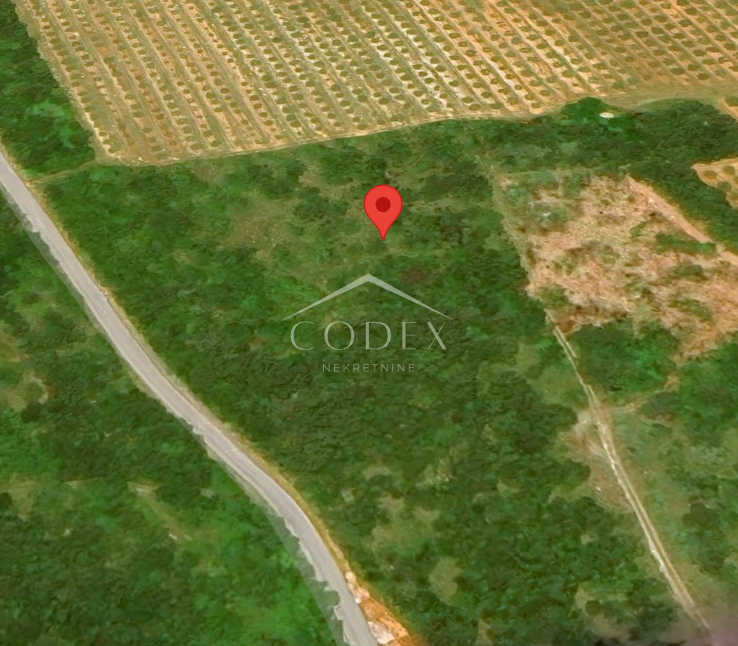 Okolica Poreča - kmetijsko zemljišče 14500 m2 s pogledom na morje
