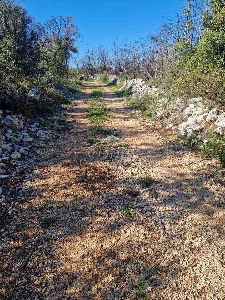 Rovinjsko selo - prodaja kmetijskega zemljišča