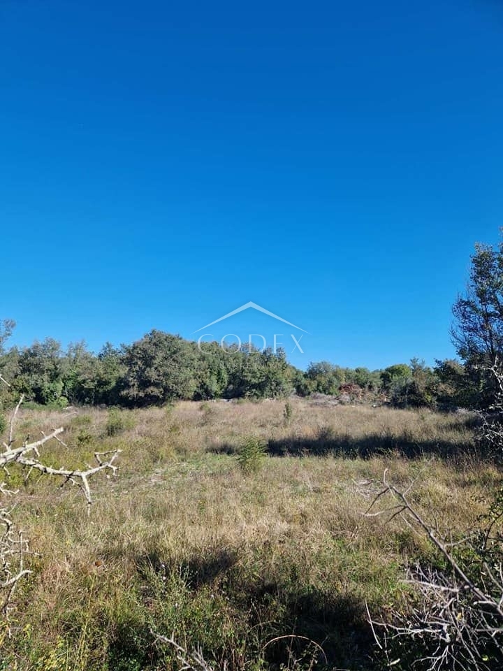 Rovinjsko selo - prodaja kmetijskega zemljišča