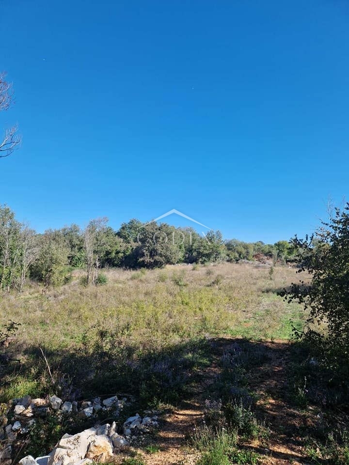 Rovinjsko selo - prodaja kmetijskega zemljišča