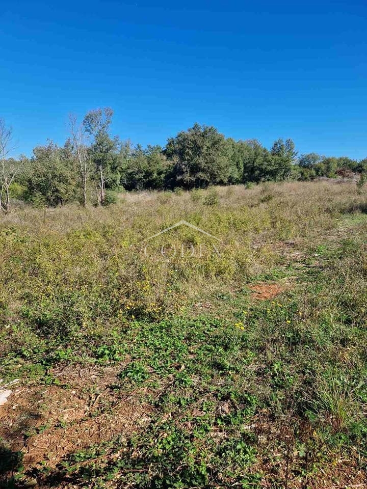 Rovinjsko selo - prodaja kmetijskega zemljišča