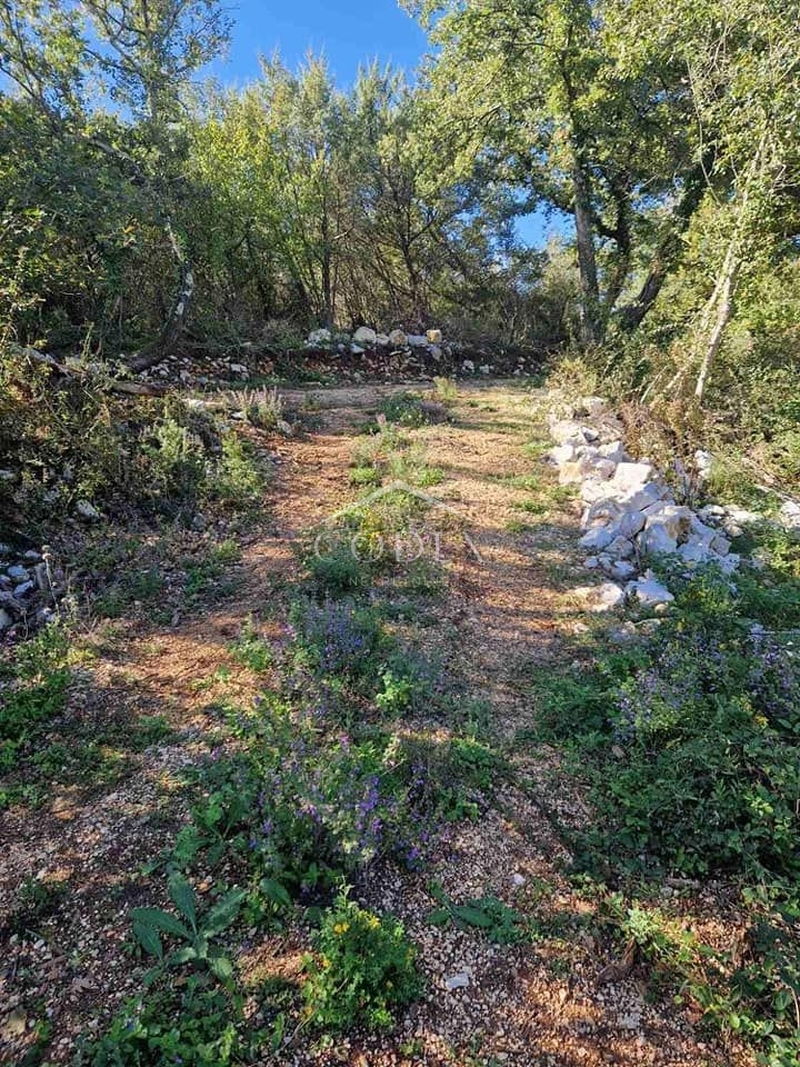 Rovinjsko selo - prodaja kmetijskega zemljišča