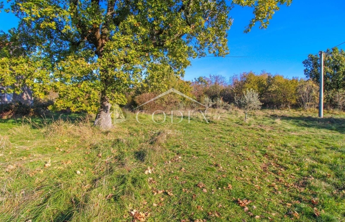 Oprtalj - prodaja starin s prostornim vrtom