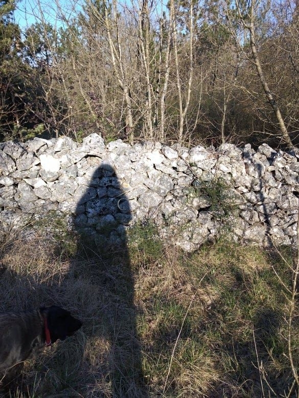 Manjadvorci - prodaja kmetijskega zemljišča
