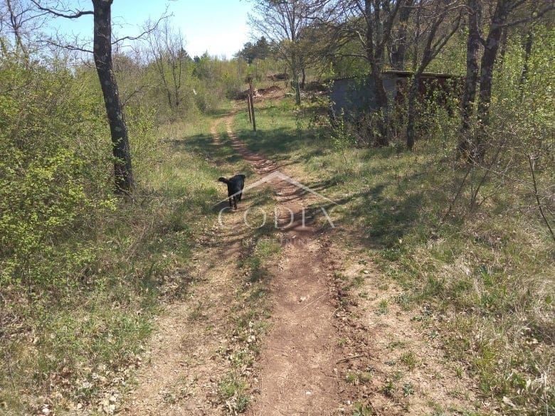 Manjadvorci - prodaja kmetijskega zemljišča