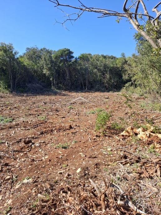 Zemljišče Ćunski, Mali Lošinj, 3.600m2