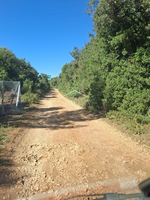 Zemljišče Ćunski, Mali Lošinj, 3.600m2