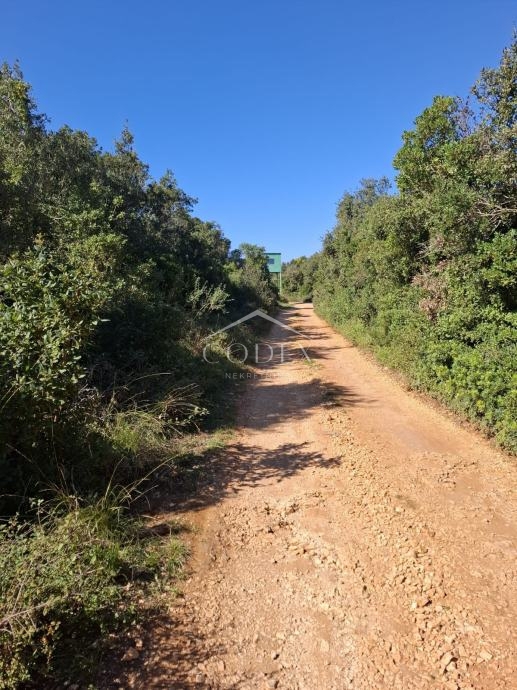 Zemljišče Ćunski, Mali Lošinj, 3.600m2